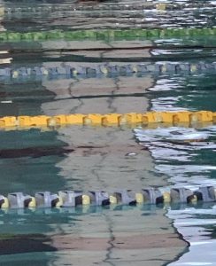 Read more about the article Time for a swim?