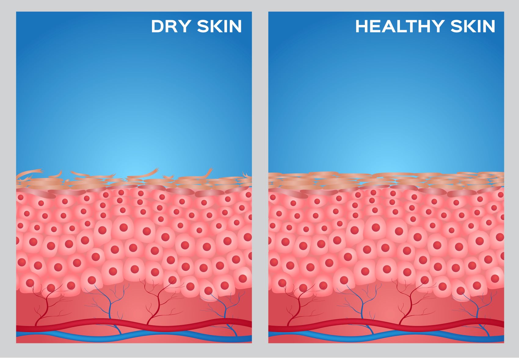 You are currently viewing What parameters indicate ‘healthy’ skin?
